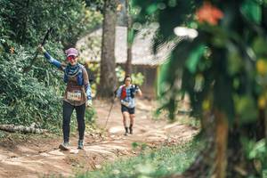 BIB: 
                            <button type="button" onclick="openModal(25275798)" class="btn btn-primary btn-sm float-right btn-popup" data-toggle="modal" data-target=".modal-high-quality">
                        <i class="fas fa-shopping-cart"></i> Add to Cart
                    </button>
                                            <button type="button" onclick="isThisMe(25275798, true)" class="btn btn-success btn-sm float-right btn-popup btn-isme hidden" data-toggle="tooltip" data-placement="bottom" title="นี่คือรูปของคุณใช่ไหม คลิกที่นี่เพื่อเอาเข้าอัลบั้ม">
                        <i class="fas fa-plus"></i> Add to album
                    </button>
                    <button type="button" onclick="isThisMe(25275798, false)" class="btn btn-warning btn-sm float-right btn-popup btn-isnotme hidden">
                        <i class="fas fa-ban"></i> Remove from album
                    </button>